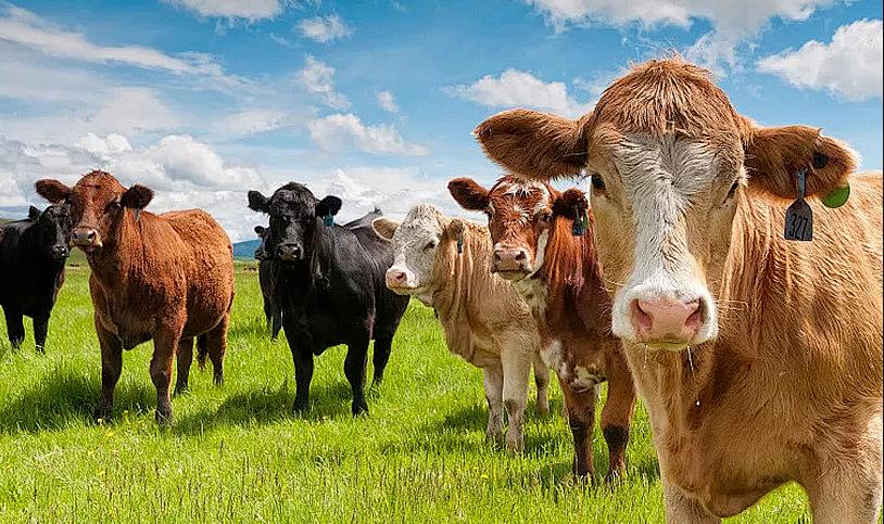 How U.S. Farms Can Save Thousands with Solar Water Pumps in 2026？